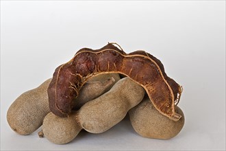 Tamarind fruits (Tamarindus indica)