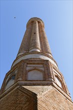 Fluted Minaret