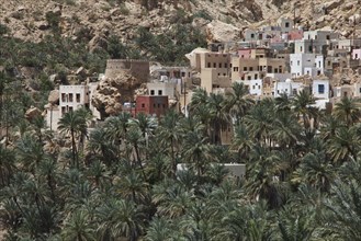 Village with palm trees at the end of Wadi Shab mountain ravine