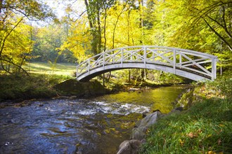 Bridge in the landscaped garden of Seifersdorfer Valley crossing the Grosse Roeder River in autumn