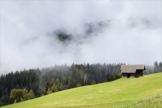 Mountain meadow with Hagneralm alpine hut