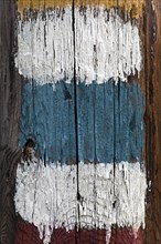 Trail marker painted on a tree trunk