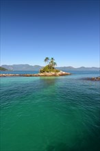 Small tropical island Angra dos Reis with palm trees