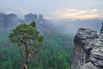 View from the Bastei rock formation