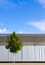 Solitary tree in front of an industrial building