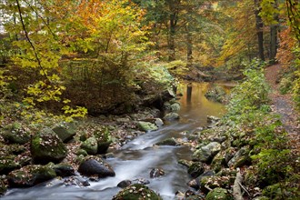 Ilse River in Ilsetal valley in autumn
