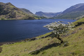 Lake of Crummock Water