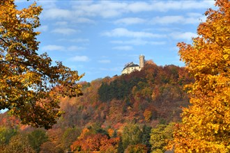 Burg Greifenstein Castle in autumn