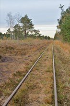 Tracks of a narrow-gauge peat railway