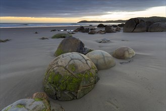 Moeraki Boulders on the beach at dawn