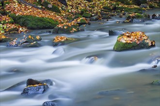 Holzbach creek in the Holzbachschlucht