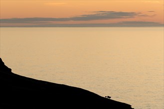 Silhouette of a mountain ridge with sheep in front of the sea