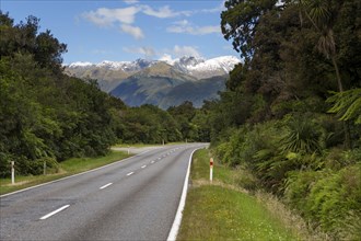 Haast Highway with views of the Southern Alps and Mount Macfarlane