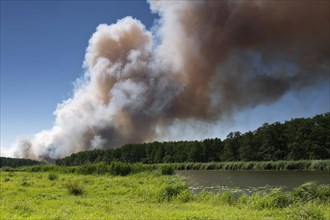 Fire on a grain field near Tutow