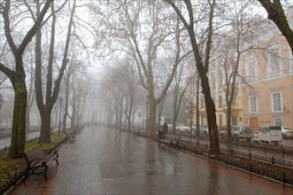 Primorsky Boulevard