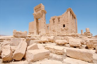 The ruins of the ancient city of Palmyra