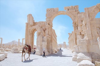 Ruins in the ancient city of Palmyra