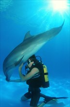 Scuba diver and a Bottlenose Dolphin (Tursiops truncatus)