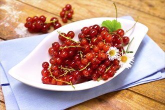 Bowl with red currants and daisies