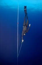 Freediver swimming along a rope