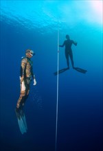 Freedivers swimming along a rope