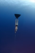 Freediver swimming along a rope
