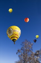 Hot air balloons against a blue sky
