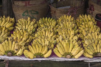 Bananas on sale at a market stall