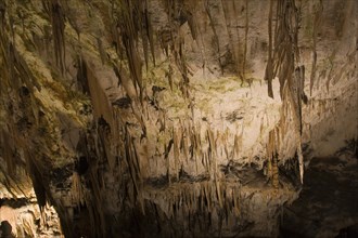 Cave of Postojna