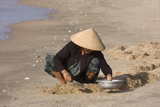 Vietnamese woman looking for crabs on the beach