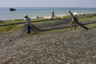 Vietnamese men and women sorting freshly caught fish