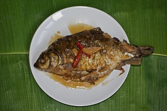 Braised Thai-style carp