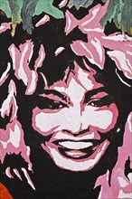 Painted portrait of Tina Turner