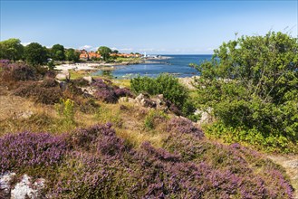 View of Allinge with bathing area and smokehouse on the rocky coast of the Baltic Sea