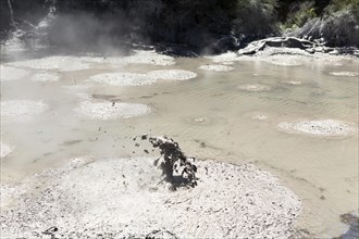 Mud pool with an eruption