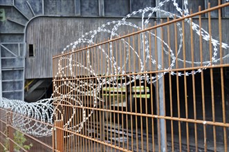 Barbed wire