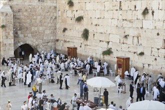 Jewish men praying at the Wailing Wall