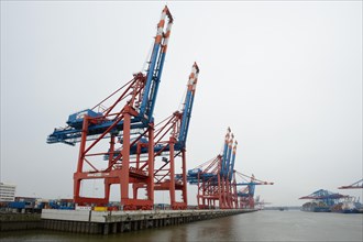 Empty EUROGATE Container Terminal