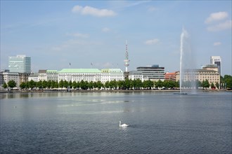 View over the Inner Alster Lake with Alster Fountain and an Alster swan towards the street of Neuer Jungfernstieg
