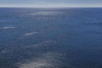 Mediterranean