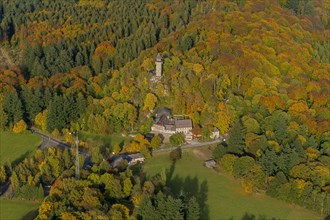 Wildenburg castle ruins in the Idar Forest low mountain range