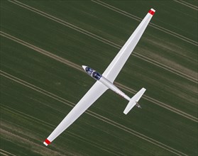 ASK 21 training glider
