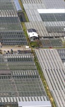 Greenhouses of Aldenhoff GbR