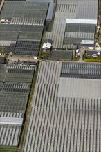 Greenhouses of Aldenhoff GbR
