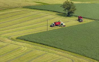 Harvesting