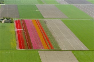 Field irrigation