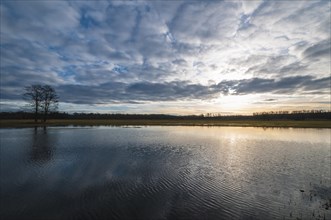Flooded fields with a low sun
