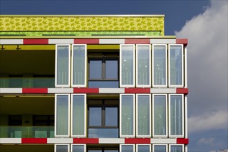 Microalgae on the facade of an energy-plus house