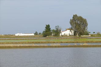 Natural Park of the Ebro Delta
