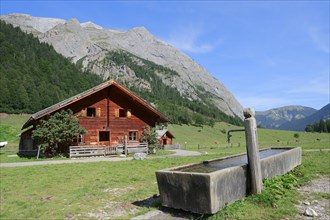 Mountain hut and a drinking trough